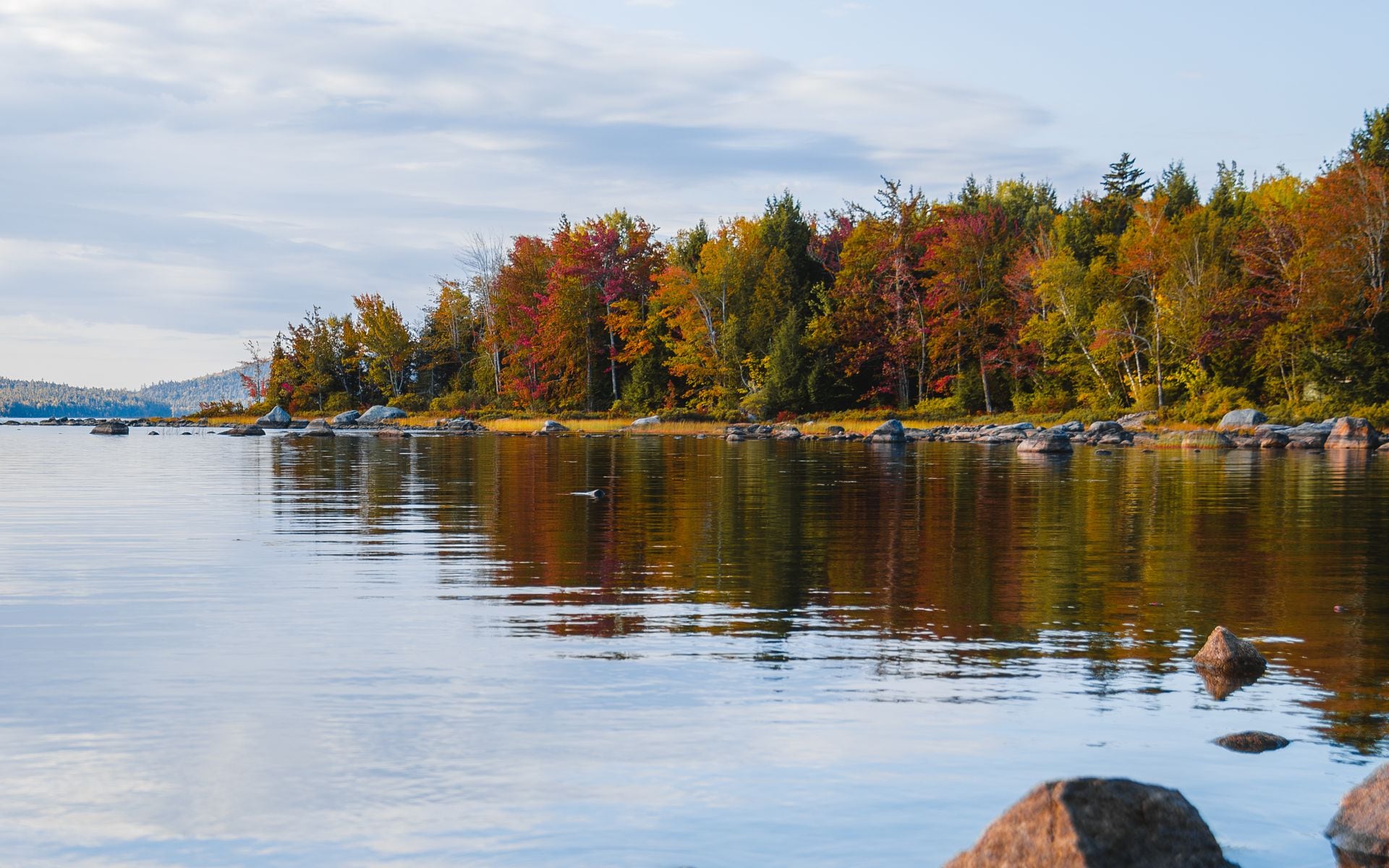 Red and orange maple canopy reflected in a still lake in the Maine Highlands in early October