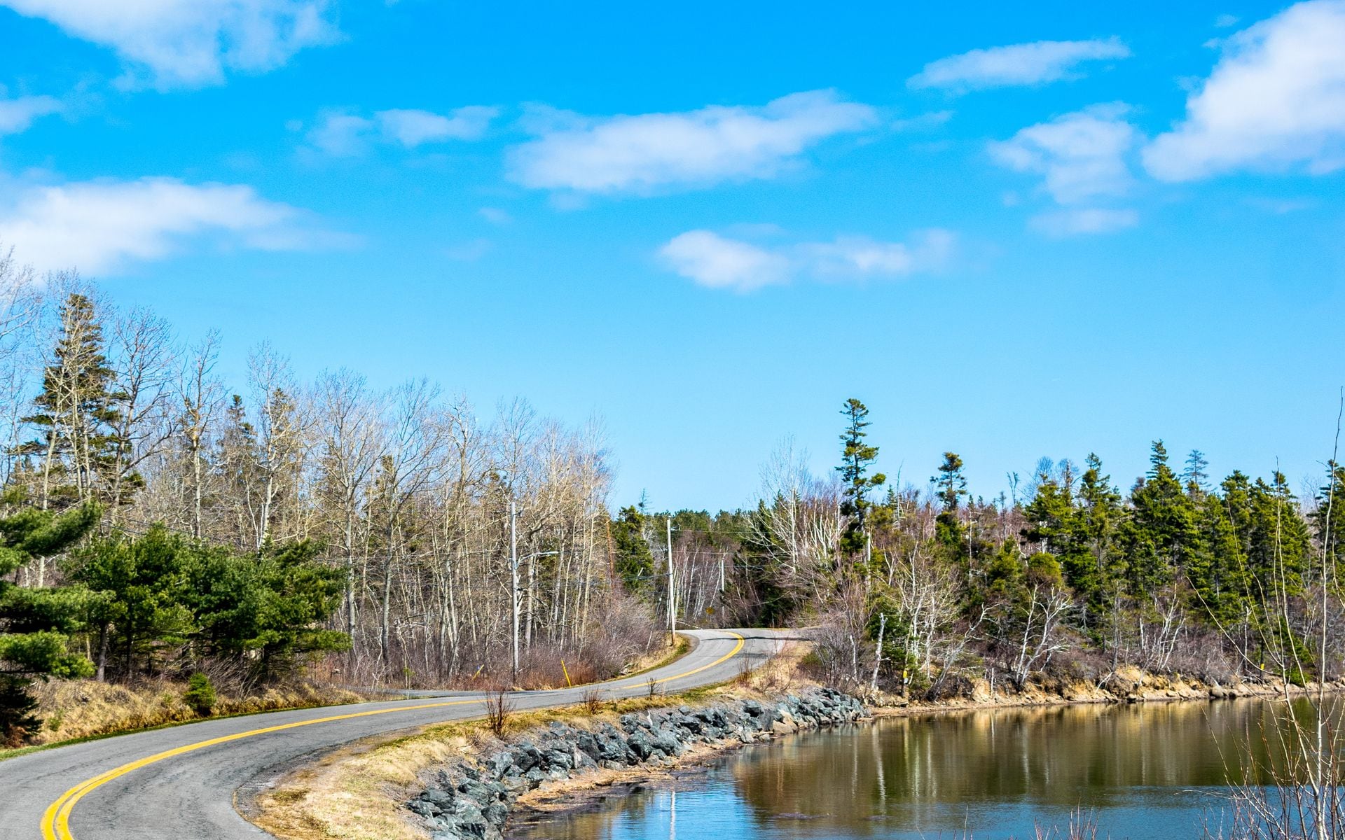 5 Days in Maine in Maine