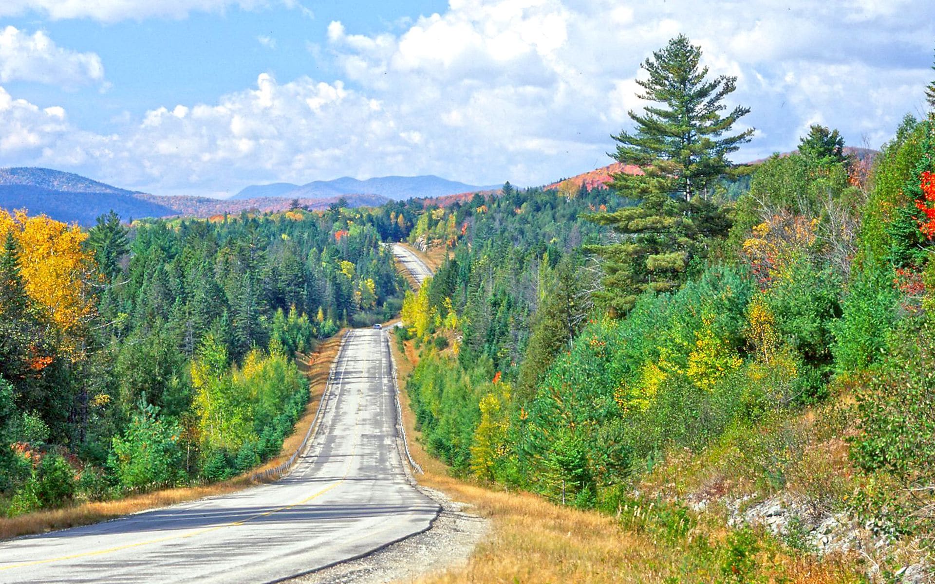 7 Days in Maine in Maine