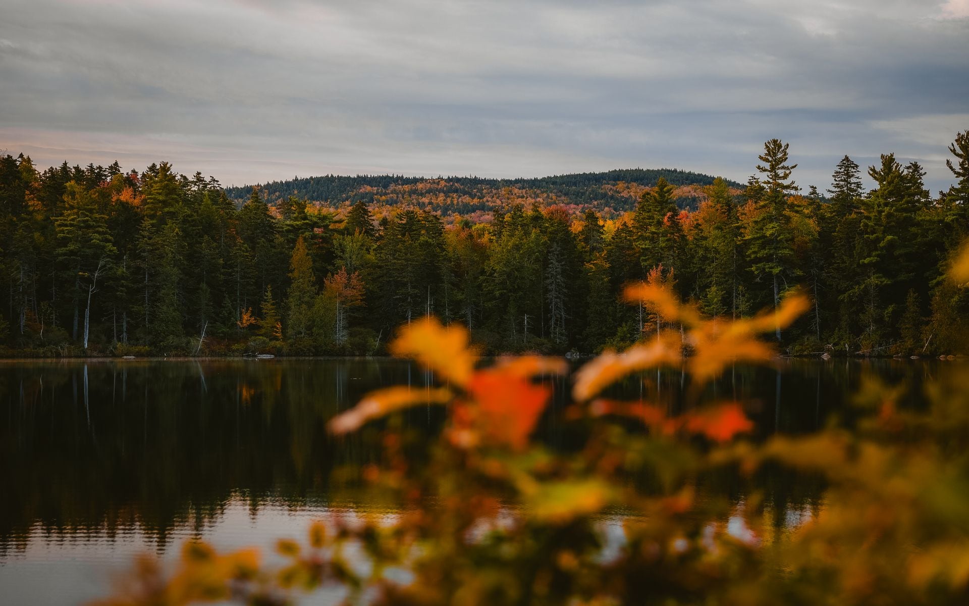 Acadia Reservations and Cadillac Mountain in Maine