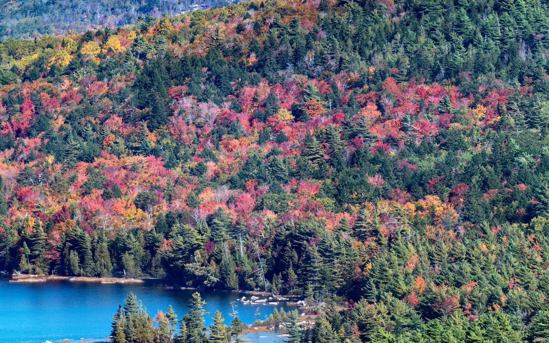 The Maine Highlands in Maine