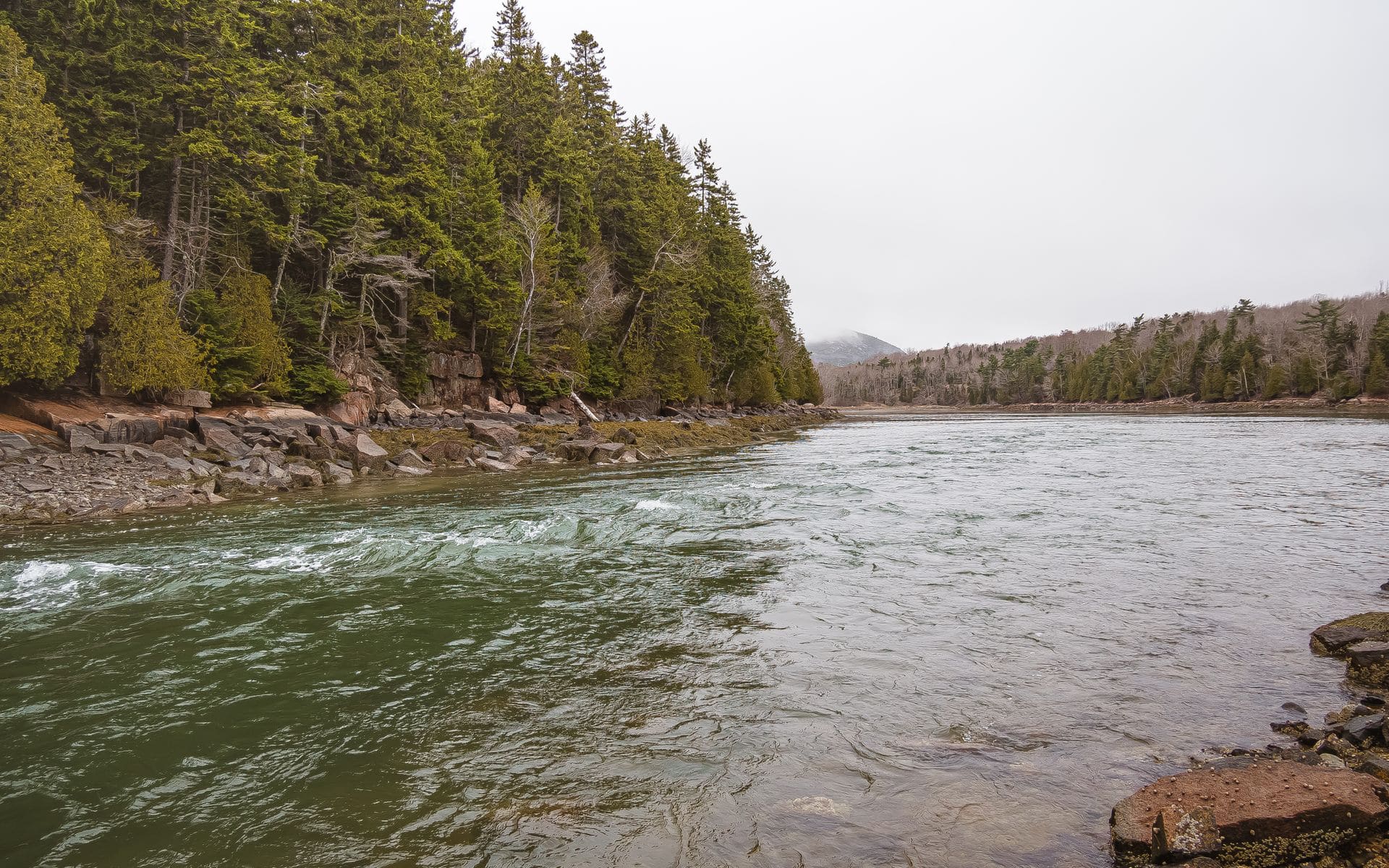 Camping and RV in Maine